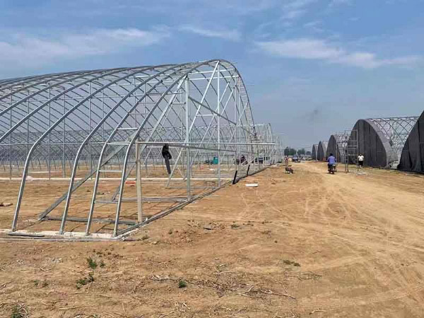 溫室大棚的建造工藝有哪些